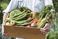 Moestuinieren in januari