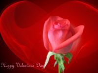 Valentijnsdag: zeg het met bloemen!